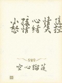 小孩心情焦虑易怒情绪失控是什么原因