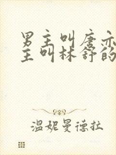 男主叫唐亦琛女主叫林舒的小说