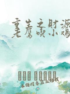 重生之财源滚滚老鹰吃小鸡笔趣阁