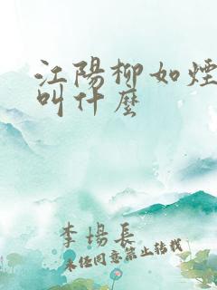 江阳柳如烟短剧叫什么