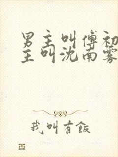 男主叫傅初安女主叫沈南雾的小说