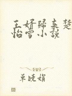 王婿归来楚叶沈怡雪小说