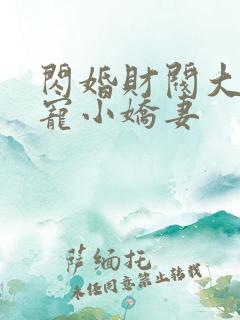 闪婚财阀大叔强宠小娇妻