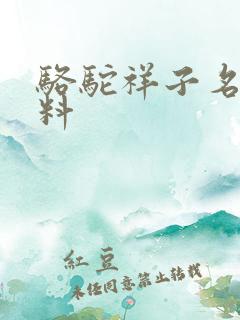 骆驼祥子名著资料