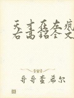 天才在左疯子在右高铭全文免费阅读