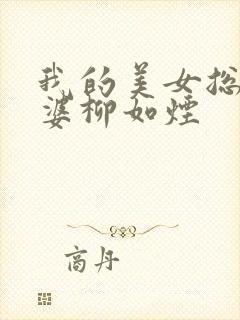 我的美女总裁老婆柳如烟