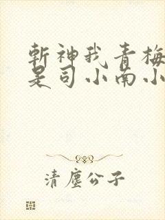 斩神我青梅竹马是司小南小说