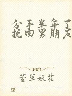 分手半年了还能挽回男朋友吗