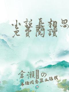 小说长相思原著免费阅读