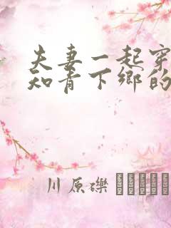 夫妻一起穿越成知青下乡的小说推荐