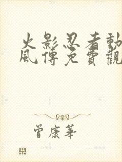 火影忍者动漫疾风传免费观看