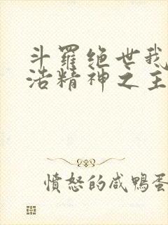 斗罗绝世我霍雨浩精神之主小说