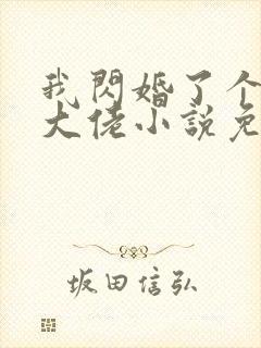 我闪婚了个财阀大佬小说免费阅读