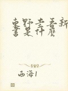 东野圭吾新出的书是什么