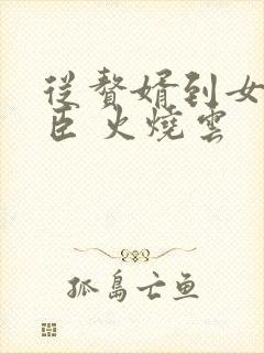 从赘婿到女帝宠臣 火烧云