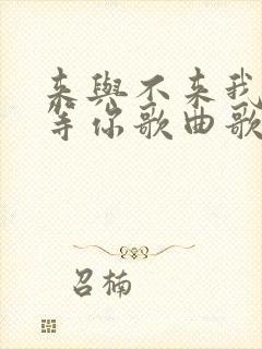 来与不来我都在等你歌曲歌词