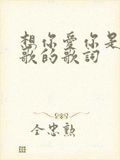 想你爱你是什么歌的歌词