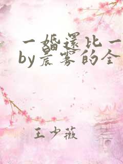 一婚还比一婚高by晨雾的全文阅读