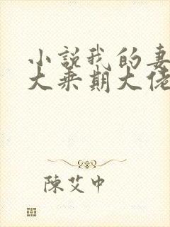 小说我的妻子是大乘期大佬阅读