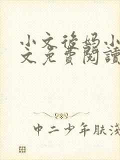 小文后妈小说全文免费阅读最新章节