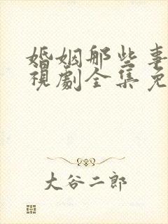 婚姻那些事儿电视剧全集免费观看完整版