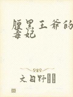 腹黑王爷的神医毒妃