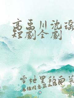 高禹川沈瑶初 短剧全剧