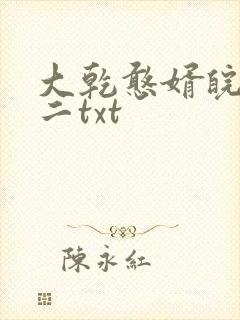 大乾憨婿皖南牛二txt
