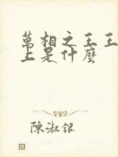 万相之王王境之上是什么