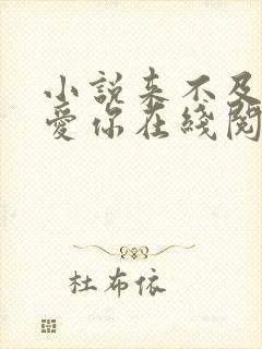 小说来不及说我爱你在线阅读