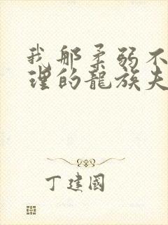 我那柔弱不能自理的龙族夫君