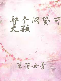 哪个网贷可以借大额