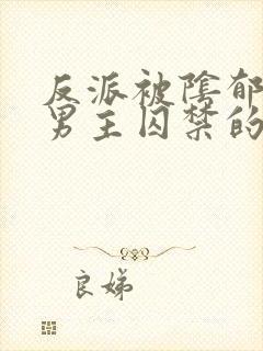 反派被阴郁疯批男主囚禁的小说