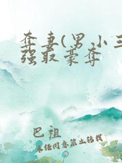 夺妻(男小三 强取豪夺