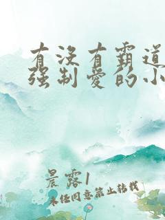 有没有霸道总裁强制爱的小说