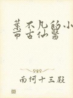 叶不凡的小说都市古仙医