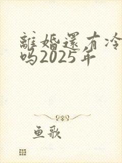 离婚还有冷静期吗2025年