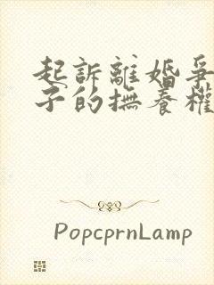 起诉离婚争取孩子的抚养权