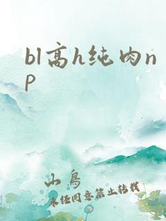 bl高h纯肉np