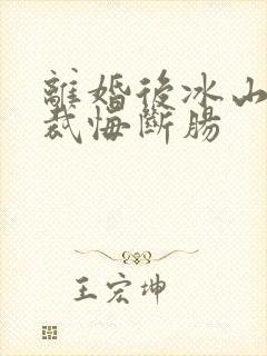 离婚后冰山女总裁悔断肠