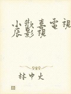 小欢喜电视剧星辰影视