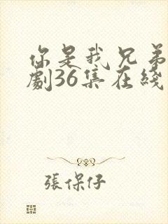 你是我兄弟电视剧36集在线观看