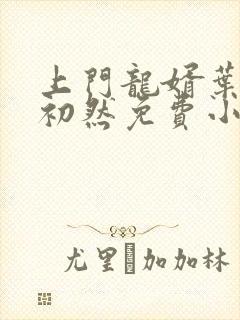 上门龙婿叶辰萧初然免费小说