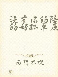 没有你的陪伴真的好孤单原唱