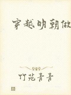 穿越明朝做崇祯