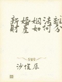 新婚姻法离婚后财产如何分配