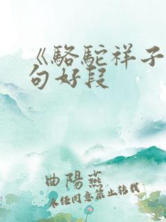 《骆驼祥子》好句好段