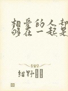 相爱的人却不能够在一起是什么歌