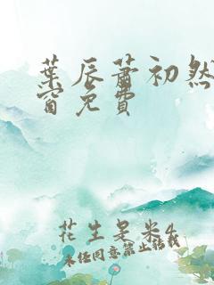 叶辰萧初然无弹窗免费