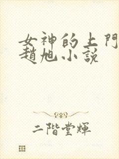 女神的上门豪婿赵旭小说